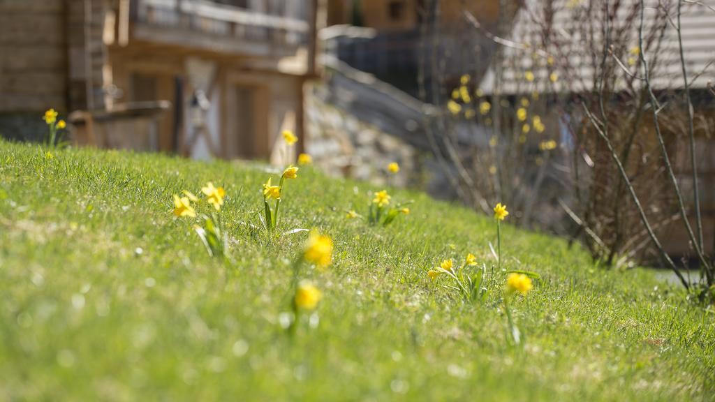 Chaletdorf Bergherz Sankt Johann im Pongau Exteriér fotografie